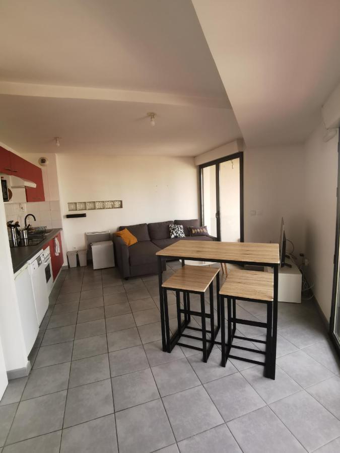 T1Bis Moderne, Lumineux, Belle-Vue, Patte D'Oie, Parking Διαμέρισμα Τουλούζη Εξωτερικό φωτογραφία